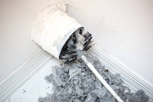 Best Air Duct Cleaning Near Me in Wright, FL